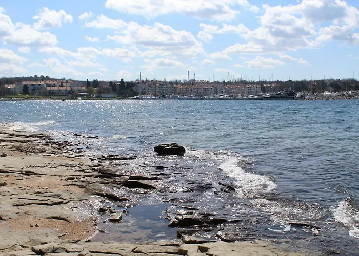 아파트 Santa Marina Tar-Vabriga